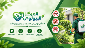 شكل البق